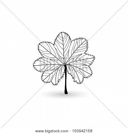 Isolated black leaf. Element for design. Vector illustration.