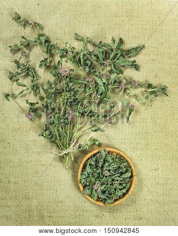 Mint spearmint peppermint. Dried herbs for use in alternative medicine spa herbal cosmetics herbal medicine preparing infusions decoctions tinctures powders ointments butter tea bath.