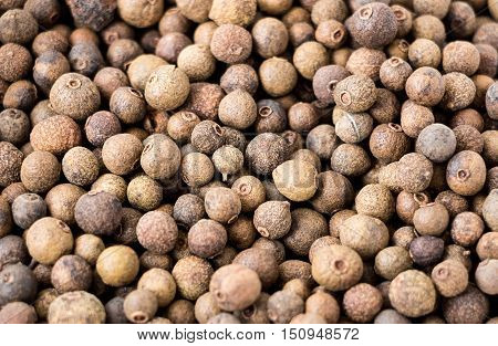 Photo Allspice pepper sweet peas closeup macro