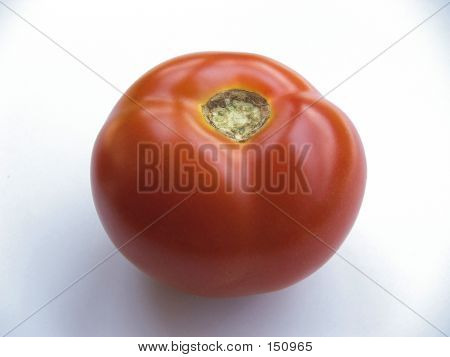 Pomodoro