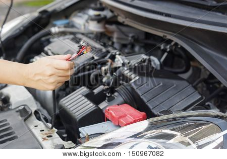 Electricity wire in the car damaged by rat bite