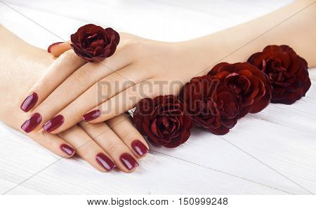 beautiful vinous manicure with rose flowers. spa