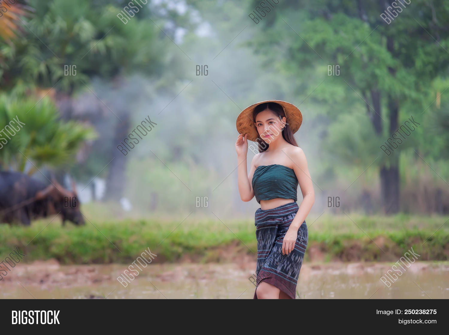 Lifestyle Rural Asian Image & Photo (Free Trial) | Bigstock