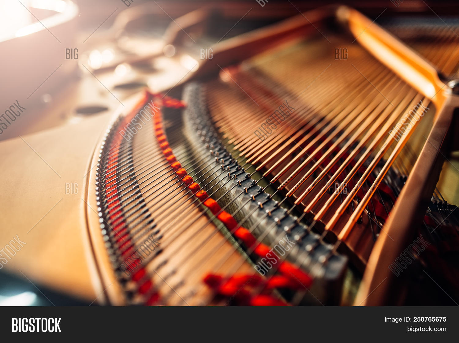 Inside Grand Piano, Image & Photo (Free Trial) Bigstock