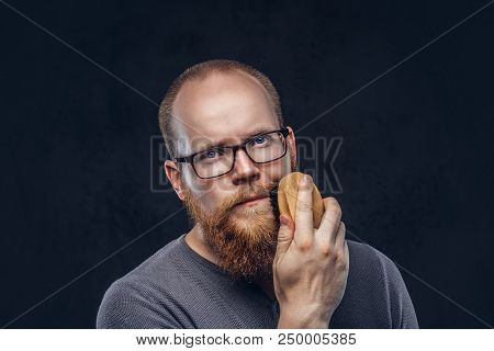 Close Up Portrait Of A Redhead Bearded Male Wearing Glasses Dressed In A Gray T-shirt, Cares About H