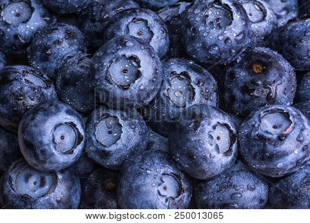 Fresh Ripe Blueberries With Drops Of Dew. Berry Background. Macro Photo.