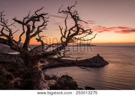 Dawn Near The Village Novyi Svit (new Light). City District Sudak, The Republic Of Crimea.