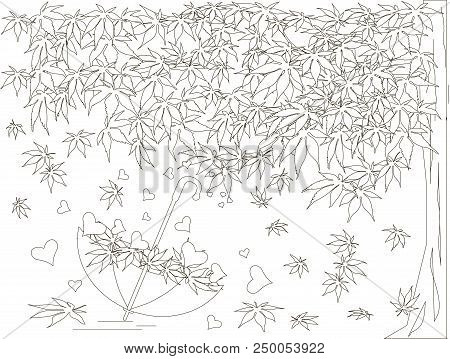 Maple Tree, Falling Maple Leaves Sketch, Umbrella Monochrome Romantic Background Coloring Book Anti 