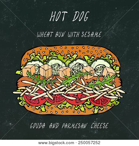 Hot Dog On A Wheat Bun With Sesame Seeds, With Gouda And Chedder Cheese, Tomato, Salad. Fast Food Co