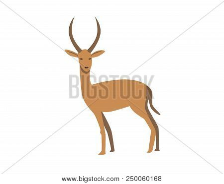 Gazelle. Flat Vector Illustration. Isolated On White Background