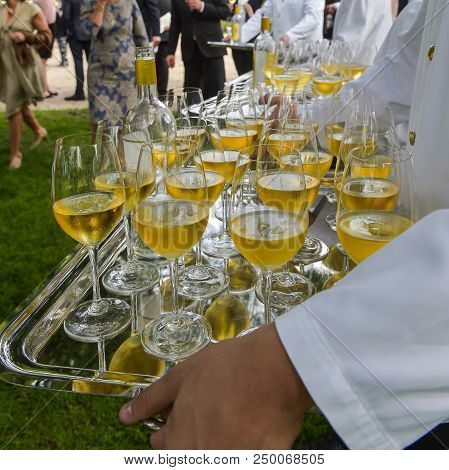 Professional Waiter In Uniform Is Serving Wine