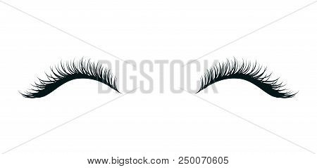Eyelashes Extension, Beautiful Make Up, Black Artificial Lashes Isolated On White Background.