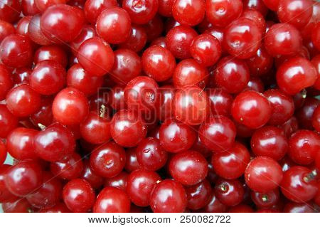Selye Berries Cherry Bright And Colorful Background
