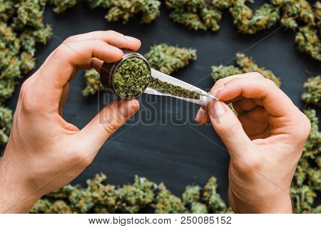 Grinder A Lot Ofx Marijuana, Fresh Buds Of Cannabis Many Weed. Copy Spase Copy-space