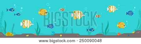 Colorful Fish And Seaweed Flat Style Horizontal Illustration. Part Two.