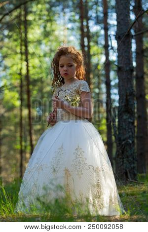 Little Girl Walks In A Summer Forest In A Dress