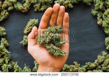 Grinder A Lot Ofx Marijuana, Fresh Buds Of Cannabis Many Weed. Copy Spase Copy-space
