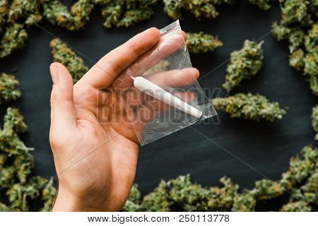 Grinder A Lot Ofx Marijuana, Fresh Buds Of Cannabis Many Weed. Copy Spase Copy-space