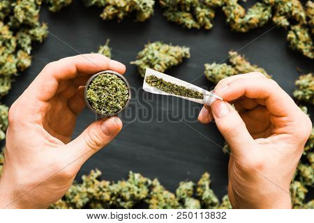 Grinder A Lot Ofx Marijuana, Fresh Buds Of Cannabis Many Weed. Copy Spase Copy-space