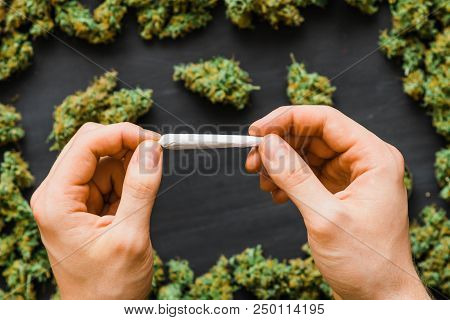 Grinder A Lot Ofx Marijuana, Fresh Buds Of Cannabis Many Weed. Copy Spase Copy-space
