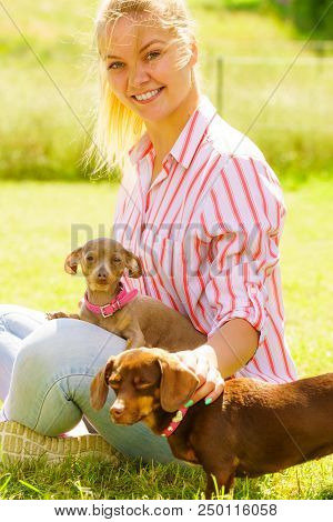 Woman Playing With Little Pinscher Ratter Prazsky Krysarik Crossbreed And Dachshund Dog Outside On G