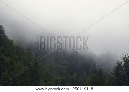 Foggy Landscape With Green Tress Forest In Myst, Moody Natural Mountain Background, Vintage Toned
