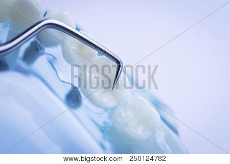 Dentist Cleaning Teeth
