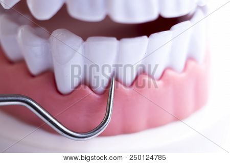 Dentist Cleaning Teeth