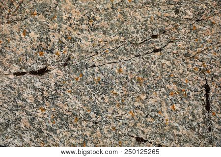 Moss On Stone, Colorful Natural Backgroung, Nord Norway