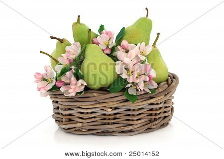 Pærer og blomst blomstre