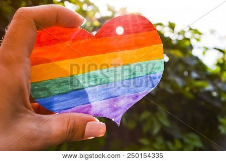 Lgbt Day Concept, Hand Holds A Heart Painted Like A Lgbt Flag