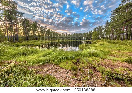 Forest Fen Lake In Hokensas Nature Reserve, Vastergotland, Sweden