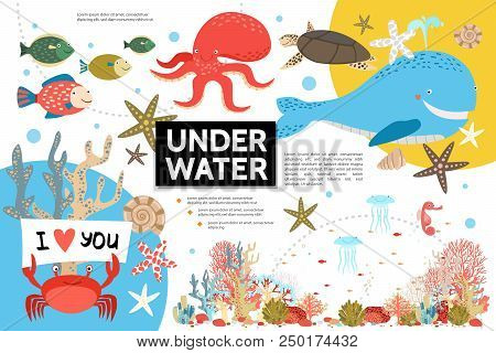 Flat Underwater Life Infographic Template With Whale Octopus Turtle Fish Crab Shells Jellyfish Sea H