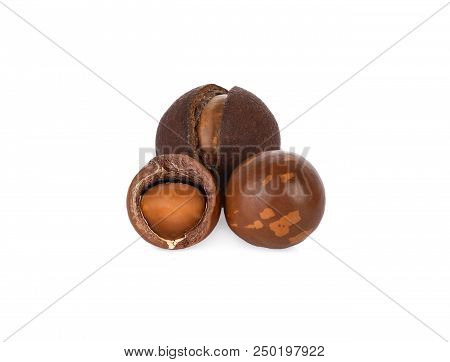Macadamia Nuts Isolated On The White Background