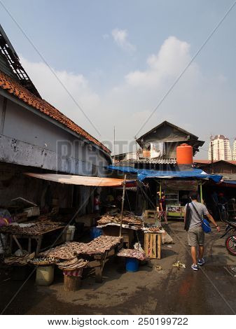Life In Pasar Ikan And Muara Karang, A Historic Jakarta Fish Market. Travel In Jakarta, The Capital