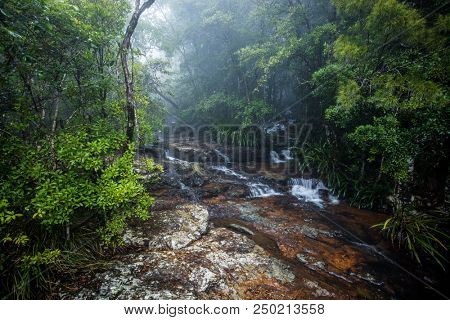 Top of Twin Falls hike in the Springbrook National Park, Queensland, Australia