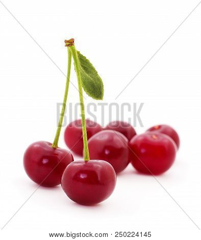 Ripe Fresh Red Cherry Isolated On White Background.