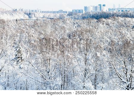 Above View Of Snowy Timiryazevsky Park And Residential District In Moscow City In Sunny Winter Day