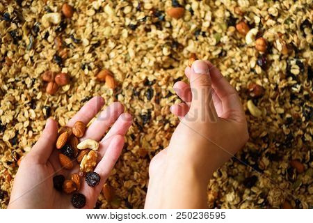 Female Hand Holds Granola Against The Background Of Baking Sheet With Granola. Food For Breakfast. M