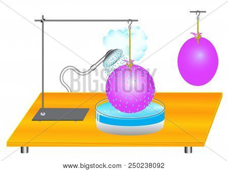 A Physical Experiment To Study The Topic: The Pressure Of Gases That Depends On Temperature, With Th