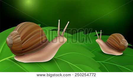 Snail On Leaves Concept Background. Realistic Illustration Of Snail On Leaves Vector Concept Backgro
