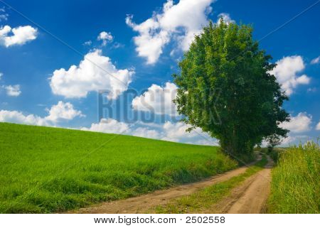 Vista campagna.