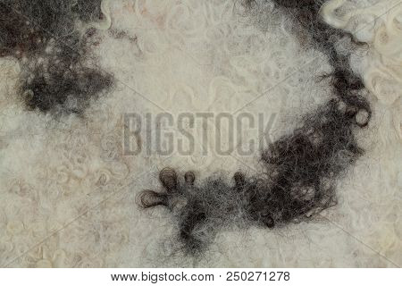 White Felt With Fleece With Black Spots, Abstract Background