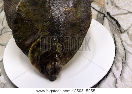 Close Up Underwater Photo Of Flat Sole Fish Burying In Sand Beach Sea Bottom. Protective Camouflage,