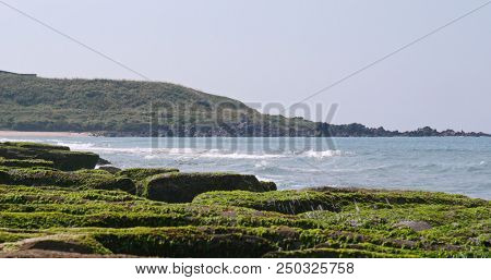 Laomei Green Reef