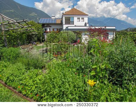 House With Garden And Solar Panels On The Roof