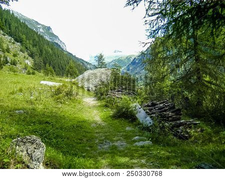 Underwood In An Alpine Valley