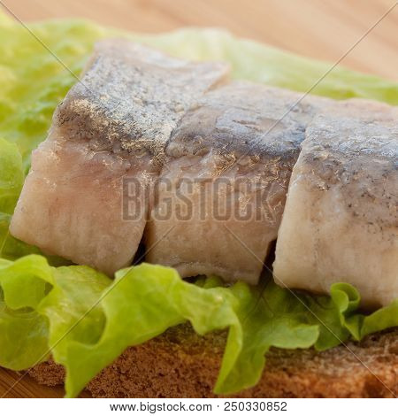 Sandwich Of Rye Bread And Herring With Lettuce