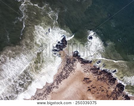 Sea Lion Colony In Namibia Taken In January 2018