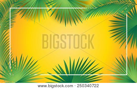 Palm Tree Leaves Frame Sukkot And Rosh Hashana Festival Jewish Holiday Decoration, Tropical Palm Lea
